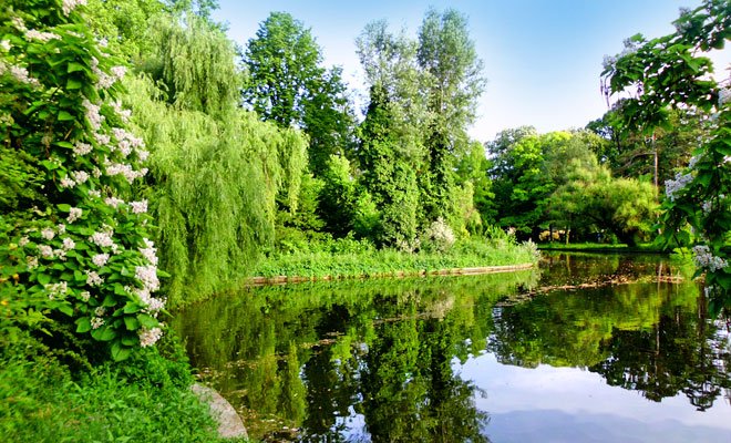 Gradina-Botanica-din-Bucuresti-flickr